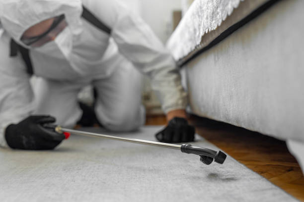 Professional Termite Control technician working in Las Lomas, TX