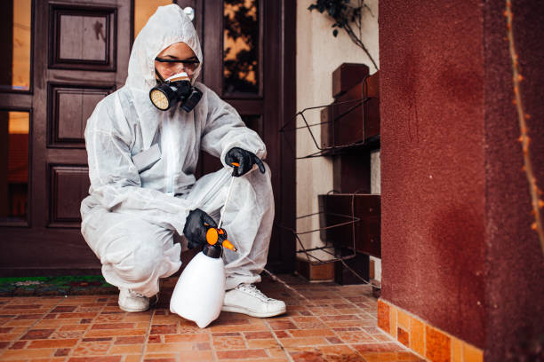 Reliable Termite Control contractor in Las Lomas, TX by Nex Pest Control